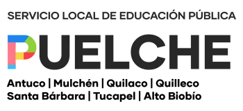 Servicio Local de Educación Pública Puelche